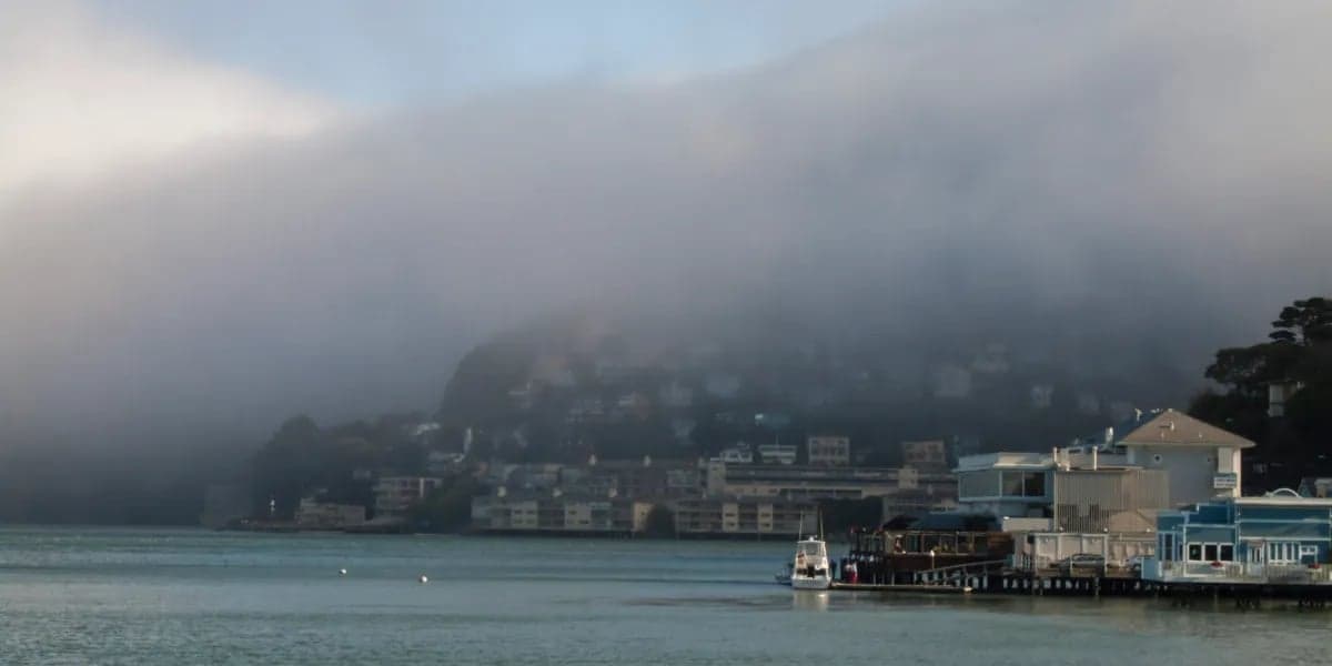 Coastal Moisture and Mold: Inspecting Homes in Marin's Fog Belt