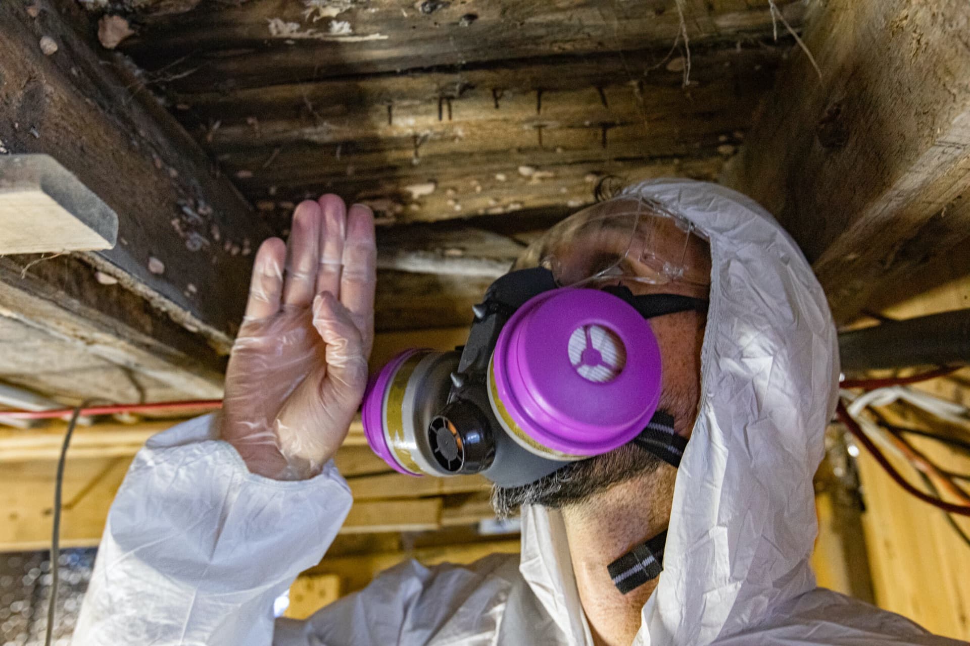 Inspector performing professional indoor air sampling